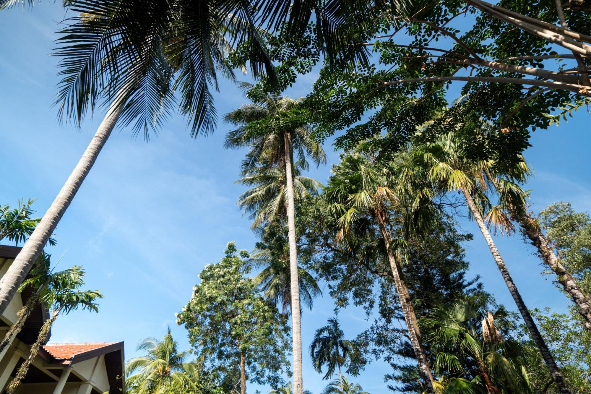 Phuket Leelavadee Hua Ting Resort Patong Exterior foto